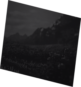 MindeDevs BG